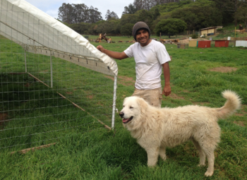 farmer with guard dog